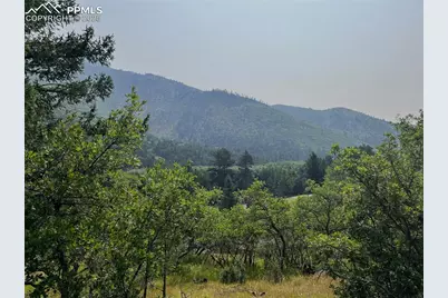 5330 Chipita Pines Drive, Cascade, CO 80809 - Photo 19