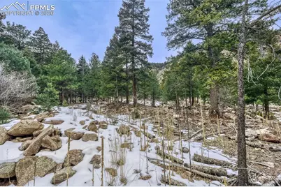 Rock Ridge Road, Palmer Lake, CO 80133 - Photo 5