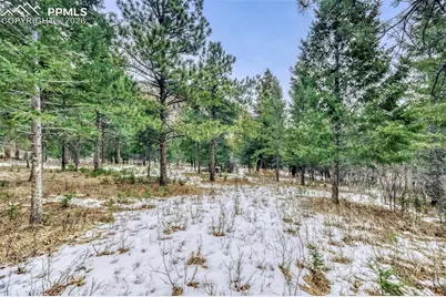 Rock Ridge Road, Palmer Lake, CO 80133 - Photo 13