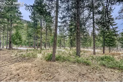 Rock Ridge Road, Palmer Lake, CO 80133 - Photo 15