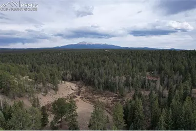 57 Trout Creek Circle, Divide, CO 80814 - Photo 29