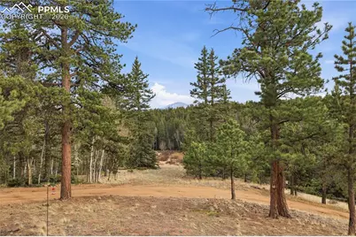 57 Trout Creek Circle, Divide, CO 80814 - Photo 31