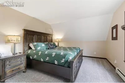 57 Trout Creek Circle, Divide, CO 80814 - Photo 19