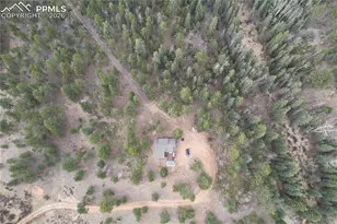 57 Trout Creek Cir, Divide, CO 80814 - Photo 31