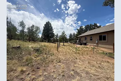 24 Big Horn Circle, Florissant, CO 80816 - Photo 7