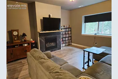 24 Big Horn Circle, Florissant, CO 80816 - Photo 19