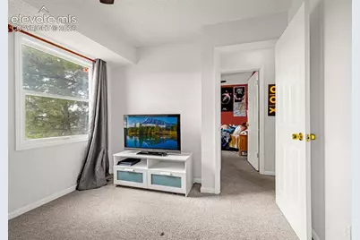 313 Raspberry Lane, Monument, CO 80132 - Photo 19
