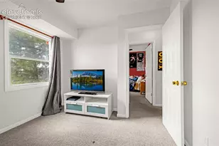 313 Raspberry Ln, Monument, CO 80132 - Photo 19