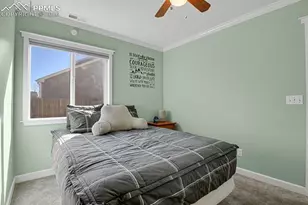 5507 Anna Lee Way, Colorado Springs, CO 80923 - Photo 21