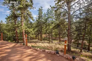 16 Rainier Circle, Florissant, CO 80816 - Photo 31