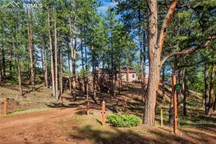 16 Rainier Circle, Florissant, CO 80816 - Photo 33