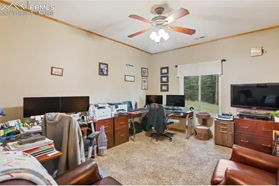 16 Rainier Circle, Florissant, CO 80816 - Photo 17