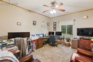 16 Rainier Circle, Florissant, CO 80816 - Photo 17