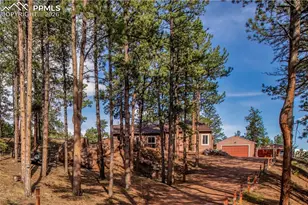 16 Rainier Circle, Florissant, CO 80816 - Photo 29