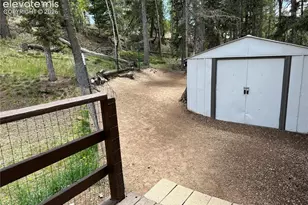 45 La Abu Trail, Florissant, CO 80816 - Photo 15