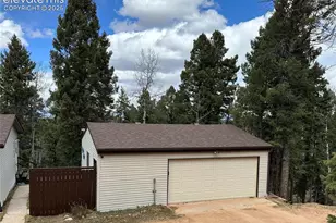 45 La Abu Trail, Florissant, CO 80816 - Photo 19