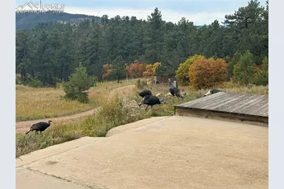 1410 Ranch Road, Canon City, CO 81212 - Photo 37