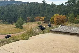 1410 Ranch Rd, Canon City, CO 81212 - Photo 37