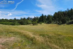 1410 Ranch Rd, Canon City, CO 81212 - Photo 19