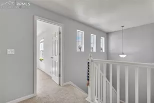 17099 Blue Mist Grove, Monument, CO 80132 - Photo 19