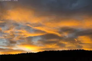 50 Worley Rd, Divide, CO 80814 - Photo 37