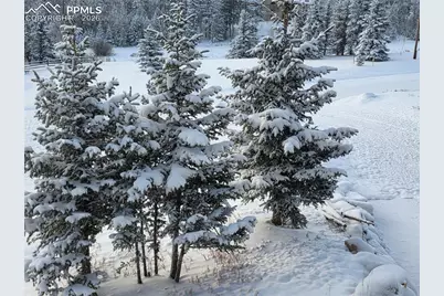 50 Worley Road, Divide, CO 80814 - Photo 35