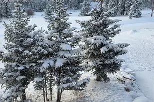 50 Worley Rd, Divide, CO 80814 - Photo 35