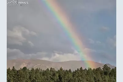 50 Worley Road, Divide, CO 80814 - Photo 45