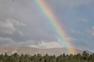 50 Worley Rd, Divide, CO 80814 - Photo 45