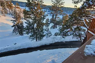 164 Spring Valley Cir, Divide, CO 80814 - Photo 47