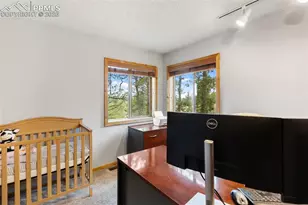 164 Spring Valley Cir, Divide, CO 80814 - Photo 31