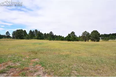 18040 Saddlewood Road, Monument, CO 80132 - Photo 47