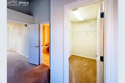 7077 Red Sand Grove, Colorado Springs, CO 80923 - Photo 29