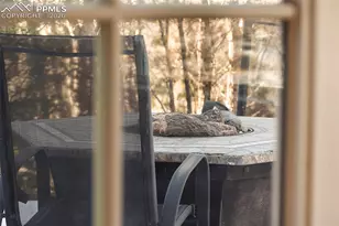 629 Arnold Ln, Colorado Springs, CO 80904 - Photo 41