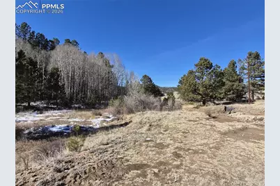 38340 US Hwy 24, Lake George, CO 80827 - Photo 11