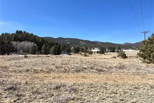 38340 US Hwy 24, Lake George, CO 80827 - Photo 1