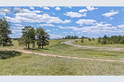 10386 Alamar Way, Colorado Springs, CO 80908 - Photo 5