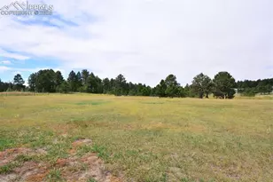 18040 Saddlewood Rd, Monument, CO 80132 - Photo 49