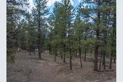 41 &amp; 73 Ingels Drive, Florissant, CO 80816 - Photo 7