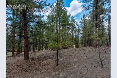 41 &amp; 73 Ingels Drive, Florissant, CO 80816 - Photo 9