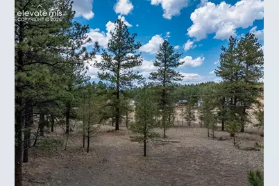 41 &amp; 73 Ingels Drive, Florissant, CO 80816 - Photo 3