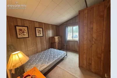 15 Dogie Trail, Florissant, CO 80816 - Photo 19