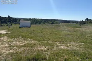 3615 Summertime Ct, Monument, CO 80132 - Photo 9