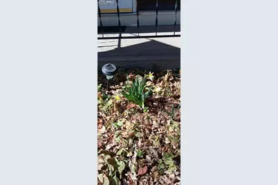 50 N Dartmouth Street, Colorado Springs, CO 80911 - Photo 43