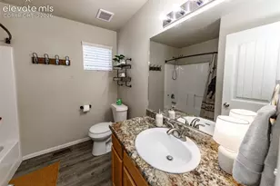 9766 Desert Lily Cir, Colorado Springs, CO 80925 - Photo 41