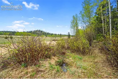 522 Hidden Valley Drive, Lake George, CO 80827 - Photo 13