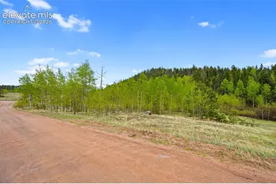 522 Hidden Valley Drive, Lake George, CO 80827 - Photo 7