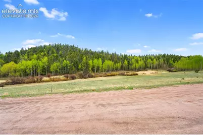 522 Hidden Valley Drive, Lake George, CO 80827 - Photo 17