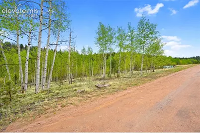 522 Hidden Valley Drive, Lake George, CO 80827 - Photo 15