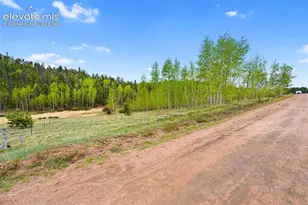 522 Hidden Valley Dr, Lake George, CO 80827 - Photo 1